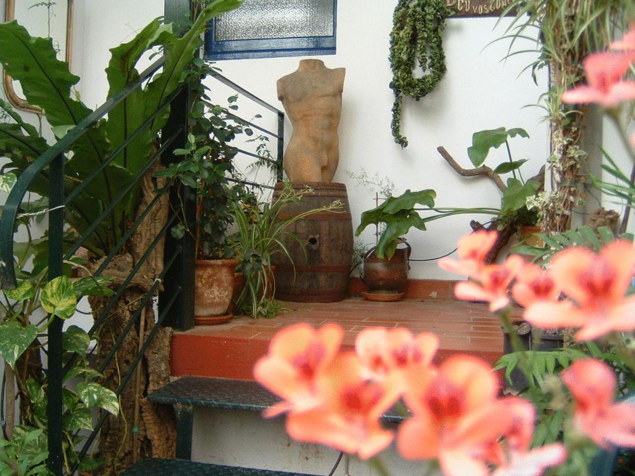 Hostal Residencia Catalina ปาลามอส ภายนอก รูปภาพ